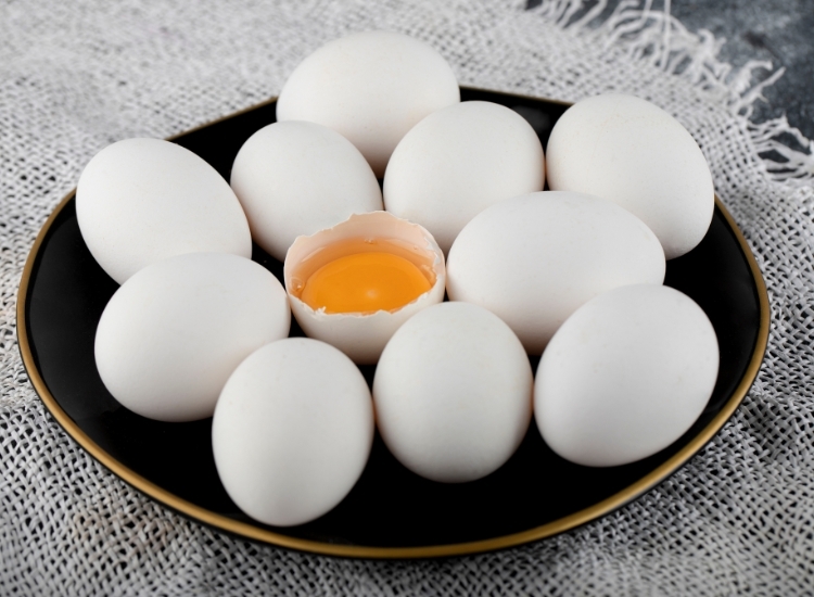 Premium Fresh White Eggs Exporter for Dubai, Abu Dhabi & Sharjah | Wholesale White Chicken Eggs Supplier to Riyadh, Jeddah, Doha & Muscat